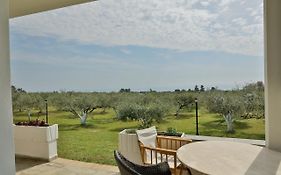 Zeusplace Olympus Olive Country House 4